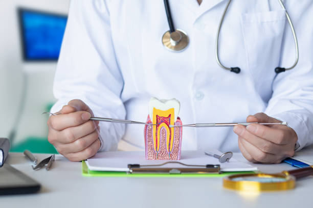 Best Broken or Chipped Tooth Repair in Crane, MO